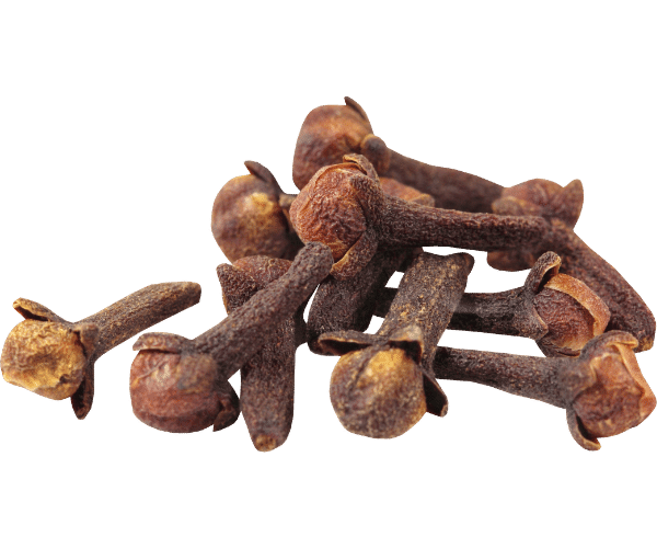 Cloves – Mcroyce Ceylon